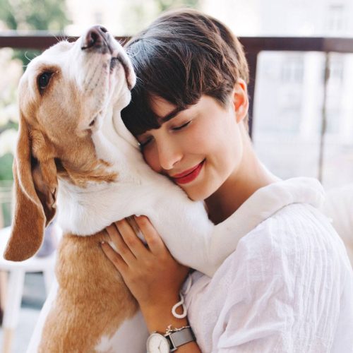 Los perros más Inteligentes del mundo: Descubre las mentes brillantes en el reino canino