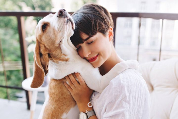 Los perros más Inteligentes del mundo: Descubre las mentes brillantes en el reino canino